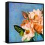 Periwinkle-Tina Lavoie-Framed Stretched Canvas