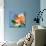 Periwinkle-Tina Lavoie-Giclee Print displayed on a wall