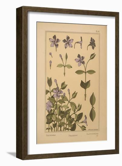 Periwinkle-null-Framed Giclee Print