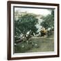 Pernambuco (Brazil), the River Port, around 1900-Leon, Levy et Fils-Framed Photographic Print