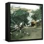 Pernambuco (Brazil), the River Port, around 1900-Leon, Levy et Fils-Framed Stretched Canvas