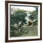 Pernambuco (Brazil), the River Port, around 1900-Leon, Levy et Fils-Framed Photographic Print