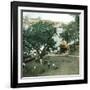 Pernambuco (Brazil), the River Port, around 1900-Leon, Levy et Fils-Framed Photographic Print