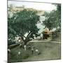 Pernambuco (Brazil), the River Port, around 1900-Leon, Levy et Fils-Mounted Photographic Print