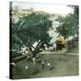 Pernambuco (Brazil), the River Port, around 1900-Leon, Levy et Fils-Stretched Canvas