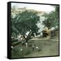 Pernambuco (Brazil), the River Port, around 1900-Leon, Levy et Fils-Framed Stretched Canvas