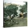 Pernambuco (Brazil), the River Port, around 1900-Leon, Levy et Fils-Stretched Canvas