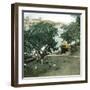 Pernambuco (Brazil), the River Port, around 1900-Leon, Levy et Fils-Framed Photographic Print