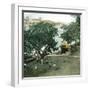 Pernambuco (Brazil), the River Port, around 1900-Leon, Levy et Fils-Framed Photographic Print