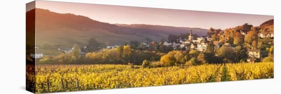 Pernand-Vergelesses and its Vineyards, Cote D'Or, Burgundy, France-Matteo Colombo-Stretched Canvas