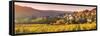 Pernand-Vergelesses and its Vineyards, Cote D'Or, Burgundy, France-Matteo Colombo-Framed Stretched Canvas