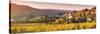 Pernand-Vergelesses and its Vineyards, Cote D'Or, Burgundy, France-Matteo Colombo-Stretched Canvas