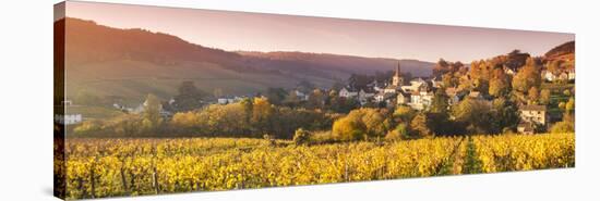 Pernand-Vergelesses and its Vineyards, Cote D'Or, Burgundy, France-Matteo Colombo-Stretched Canvas