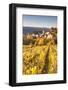 Pernand-Vergelesses and its Vineyards, Cote D'Or, Burgundy, France-Matteo Colombo-Framed Photographic Print