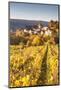 Pernand-Vergelesses and its Vineyards, Cote D'Or, Burgundy, France-Matteo Colombo-Mounted Photographic Print