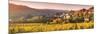 Pernand-Vergelesses and its Vineyards, Cote D'Or, Burgundy, France-Matteo Colombo-Mounted Photographic Print