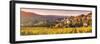 Pernand-Vergelesses and its Vineyards, Cote D'Or, Burgundy, France-Matteo Colombo-Framed Photographic Print