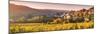 Pernand-Vergelesses and its Vineyards, Cote D'Or, Burgundy, France-Matteo Colombo-Mounted Photographic Print