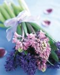 Hyacinths-Pernilla Bergdahl-Art Print