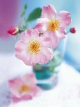 Dog Roses-Pernilla Bergdhal-Art Print