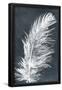 Essential Black