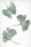 Ginkgo 4 Sorbet-Pernille Folcarelli-Art Print