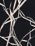 Grass Detail Black-Pernille Folcarelli-Art Print