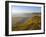 Perran Porth Beach, Perran Porth, Cornwall, England,UK-Neale Clarke-Framed Photographic Print