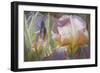 Perrenial Beauties-Elizabeth Horning-Framed Giclee Print