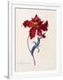 Gramercy White