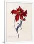 Gramercy White