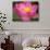 Perry's Water Garden, Lotus Blossom, Franklin, North Carolina, USA-Joanne Wells-Photographic Print displayed on a wall