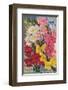 Perry Seed Company Boston-null-Framed Premium Giclee Print