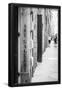Essential Black