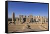 Persepolis - Apadana Palace-arazu-Framed Stretched Canvas