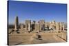 Persepolis - Apadana Palace-arazu-Stretched Canvas