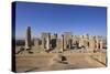 Persepolis - Apadana Palace-arazu-Stretched Canvas