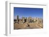 Persepolis - Apadana Palace-arazu-Framed Photographic Print