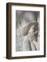 Persepolis Archeological Site, Iran, Western Asia-Eitan Simanor-Framed Photographic Print