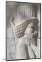 Persepolis Archeological Site, Iran, Western Asia-Eitan Simanor-Mounted Photographic Print