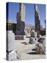 Persepolis, Iran, Middle East-Robert Harding-Stretched Canvas