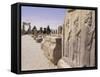 Persepolis, Unesco World Heritage Site, Iran, Middle East-Sergio Pitamitz-Framed Stretched Canvas