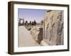 Persepolis, Unesco World Heritage Site, Iran, Middle East-Sergio Pitamitz-Framed Photographic Print