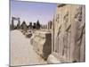 Persepolis, Unesco World Heritage Site, Iran, Middle East-Sergio Pitamitz-Mounted Photographic Print