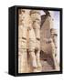 Persepolis, Unesco World Heritage Site, Iran, Middle East-Sergio Pitamitz-Framed Stretched Canvas