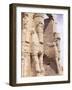 Persepolis, Unesco World Heritage Site, Iran, Middle East-Sergio Pitamitz-Framed Photographic Print