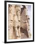 Persepolis, Unesco World Heritage Site, Iran, Middle East-Sergio Pitamitz-Framed Photographic Print