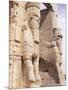 Persepolis, Unesco World Heritage Site, Iran, Middle East-Sergio Pitamitz-Mounted Photographic Print