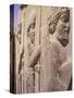 Persepolis, Unesco World Heritage Site, Iran, Middle East-Sergio Pitamitz-Stretched Canvas