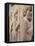 Persepolis, Unesco World Heritage Site, Iran, Middle East-Sergio Pitamitz-Framed Stretched Canvas